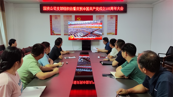 国资公司.png